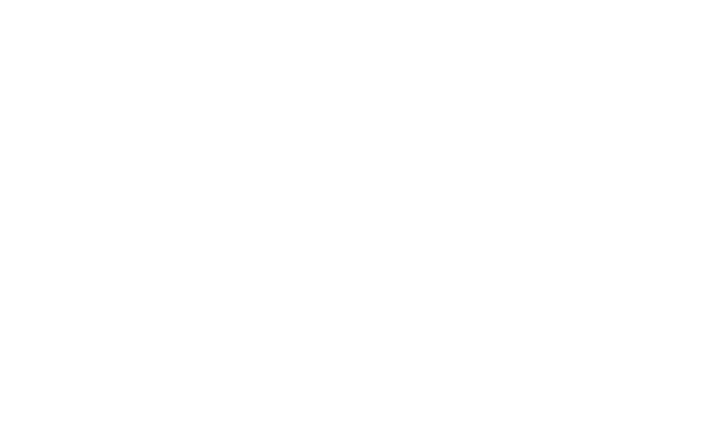 meyer-werft